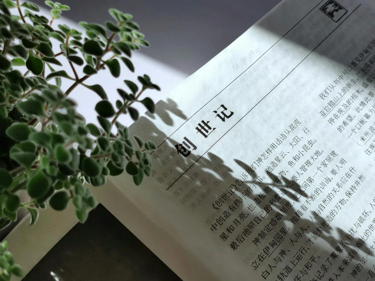 合规咨询服务协助企业建立信息管理规范